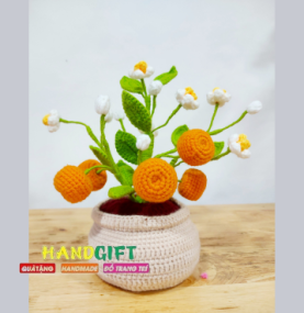 Bình Hoa Tết 16